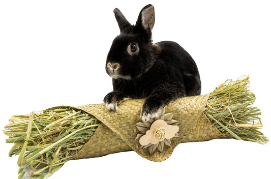 Hay-rito | Natural Chew Toys, Foraging Toy, Rabbit, Guinea Pig, + small animal enrichment, boredom busters