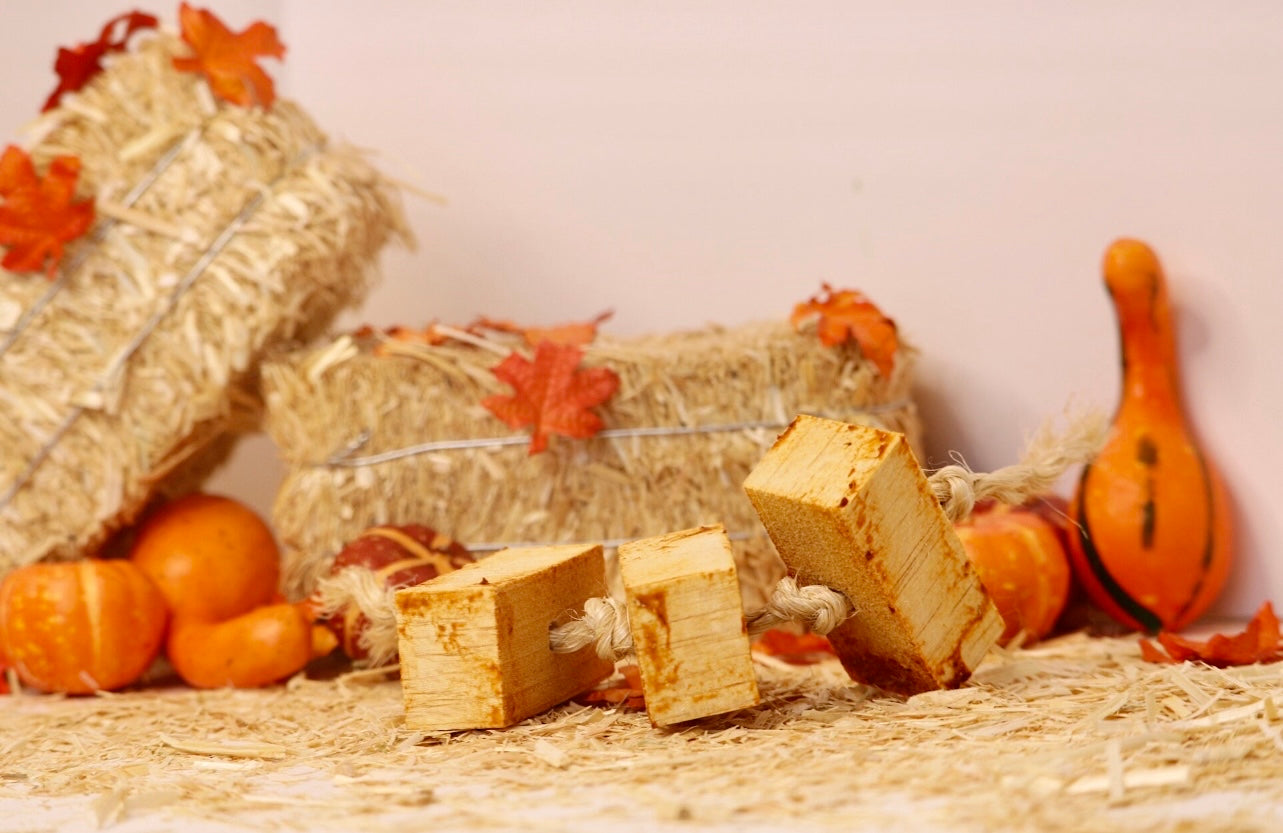 Pumpkin Balsa Fling- Fruit Infused Chew Toys