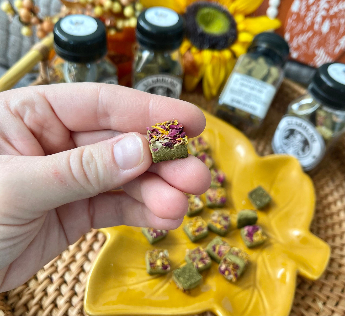 Starbuns Refreshers~ Spiced Apple Cider~ OAT FREE~