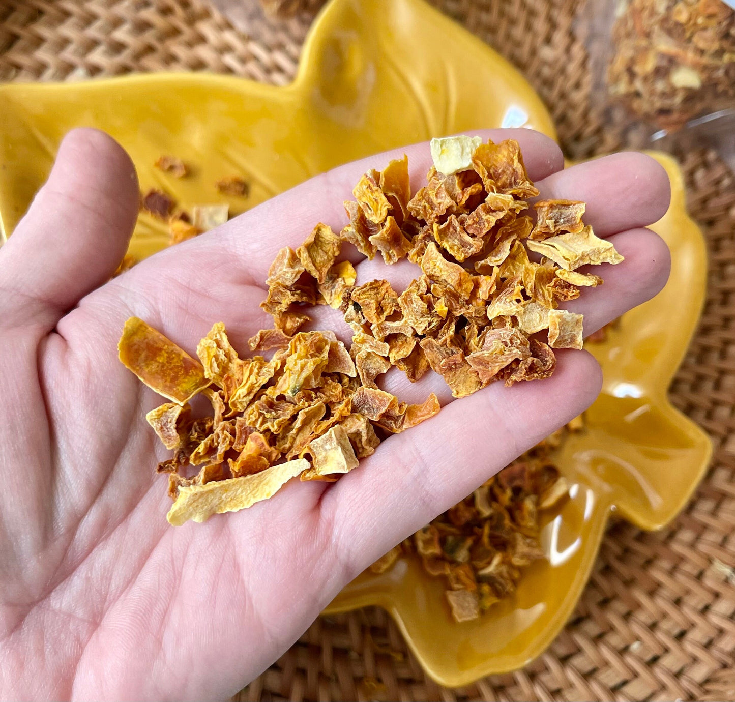 Pumpkin Nibbles ~ Small animal treats, naturally loaded with vitamins, calcium, potassium & dietary fiber