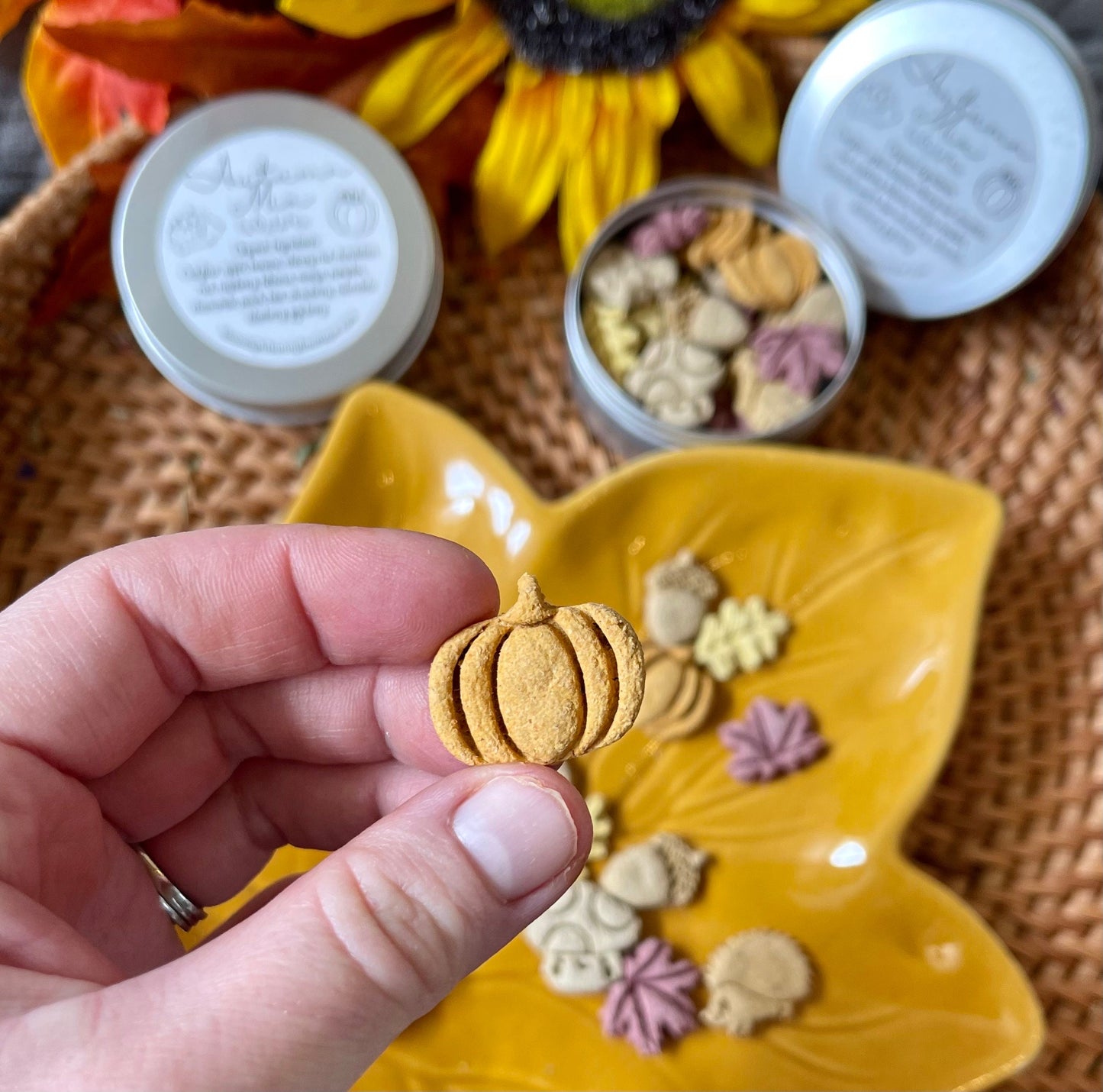 Autumn Mix | Fall Inspired Bite Sized Treats