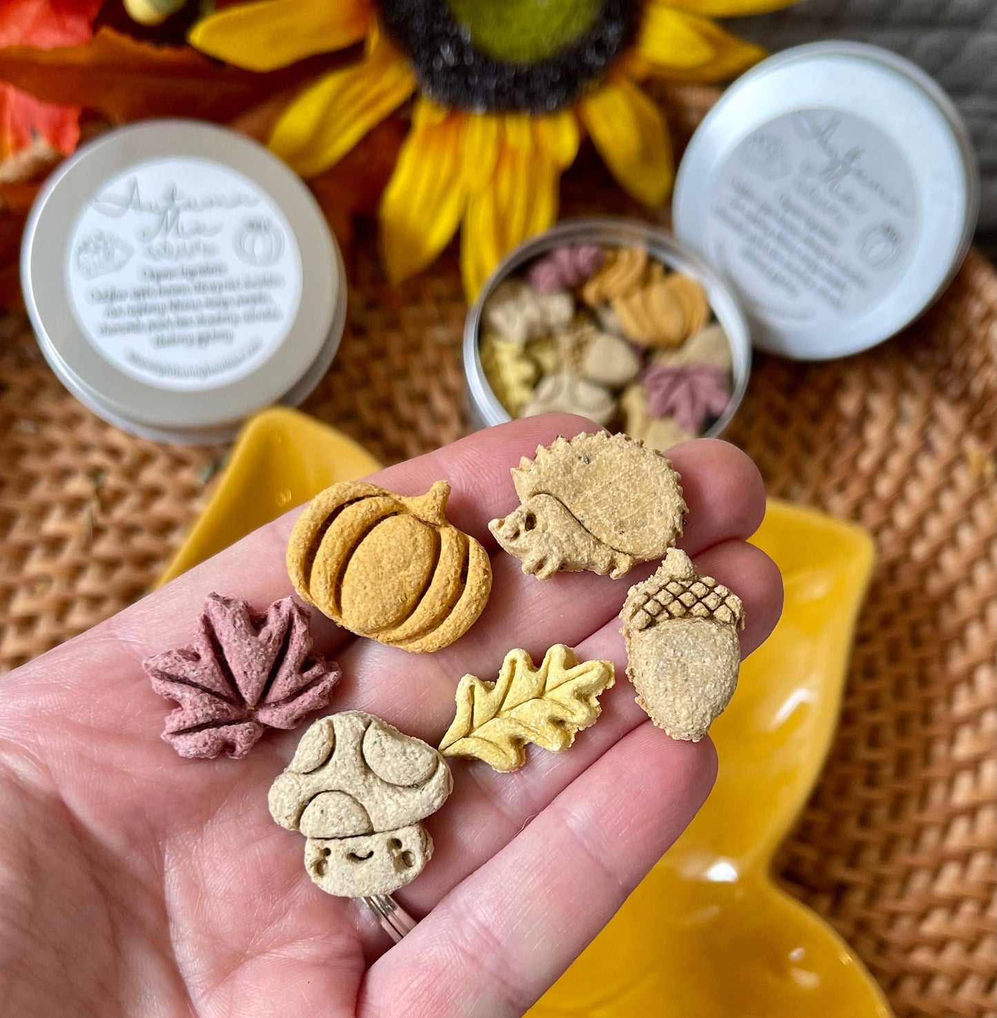 Autumn Mix | Fall Inspired Bite Sized Treats