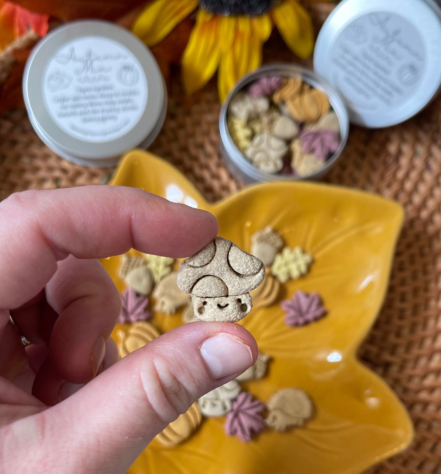 Autumn Mix | Fall Inspired Bite Sized Treats