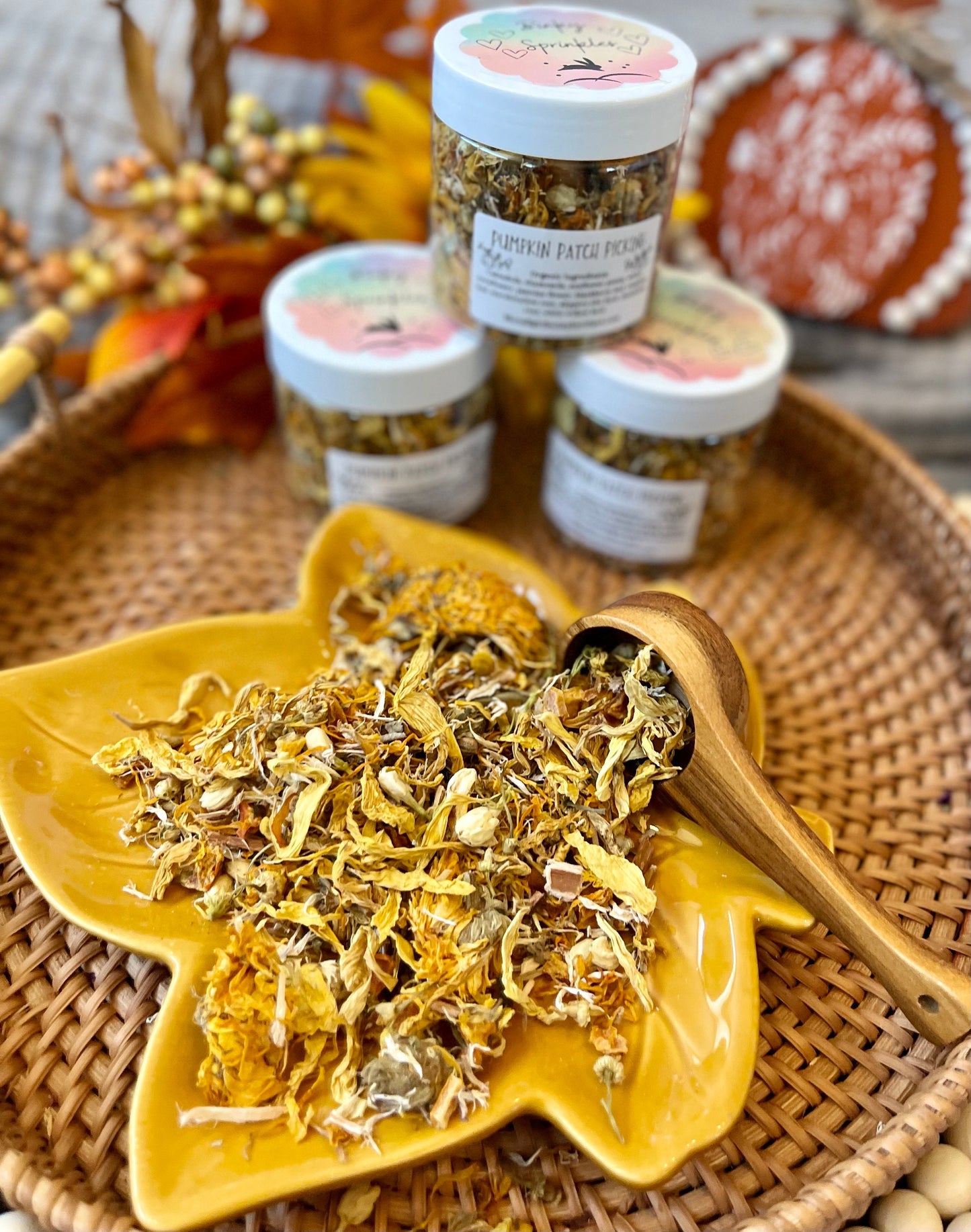 Binky Sprinkles Forage Blend | Pumpkin Patch Picking | Healthy Treat, Hay/Greens/Pellet Topper for Rabbits, Guinea Pigs, and Chinchillas