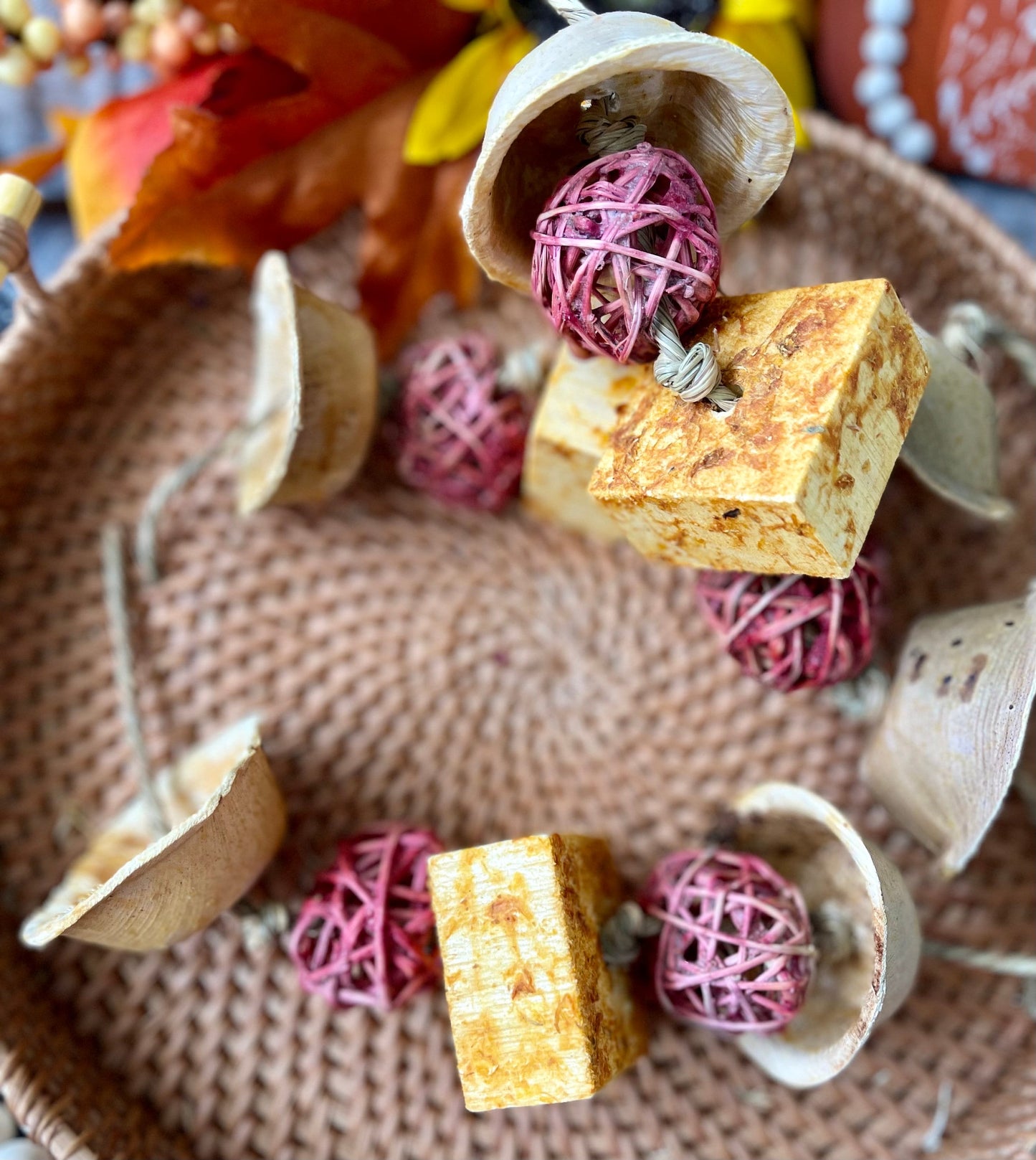 Fall Fling Chew | Premium Fall Fruit Infused Chew Toy