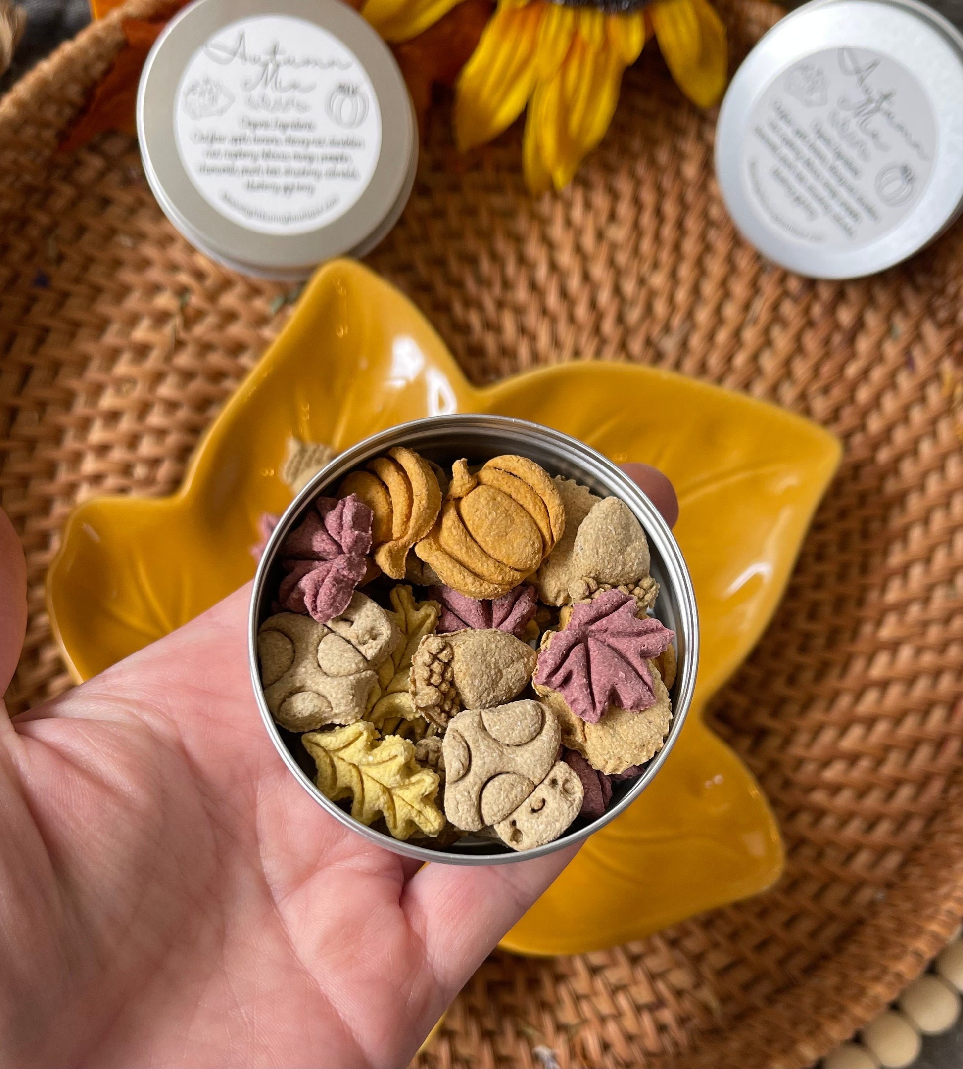 Autumn Mix | Fall Inspired Bite Sized Treats