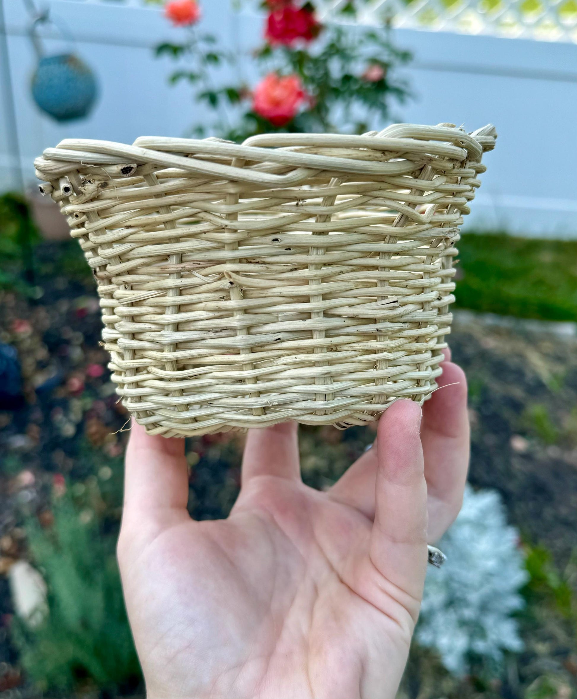 Grapevine Basket | Natural Chew Toys, Foraging Toy, bunny enrichment, rabbit, hamster, guinea pig and small animal chews & boredom busters