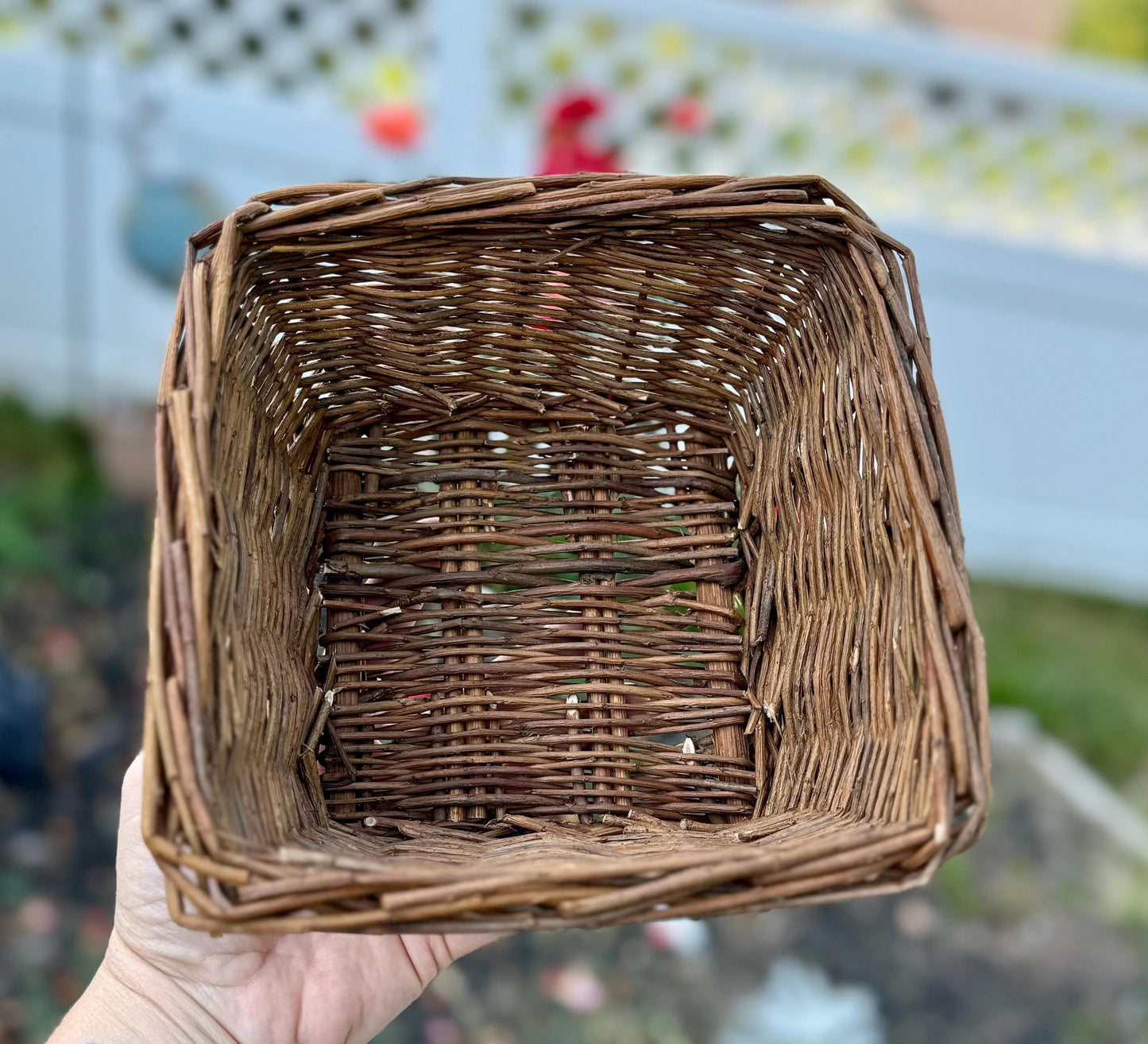 Willow Basket | Natural Chew Toys, Foraging Toy, bunny enrichment, rabbit, hamster, guinea pig and small animal chews & boredom busters