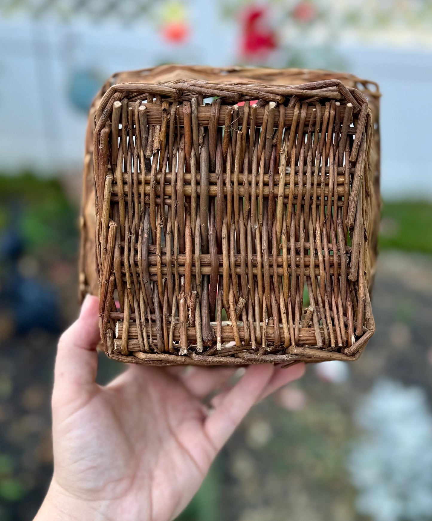 Willow Basket | Natural Chew Toys, Foraging Toy, bunny enrichment, rabbit, hamster, guinea pig and small animal chews & boredom busters