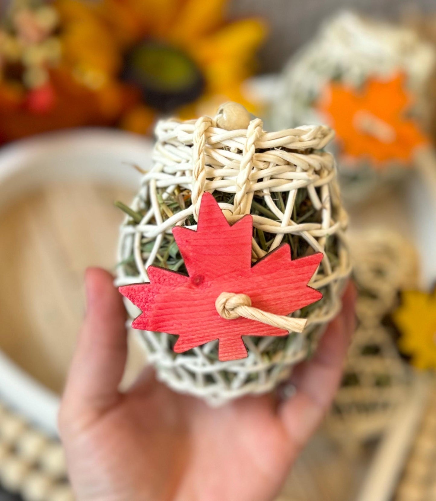 Autumn Acorn Forager | Fall Inspired Toss Toy | Enrichment & Foraging Toy