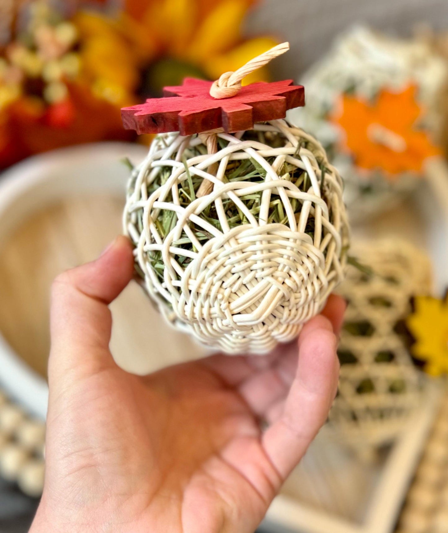 Autumn Acorn Forager | Fall Inspired Toss Toy | Enrichment & Foraging Toy