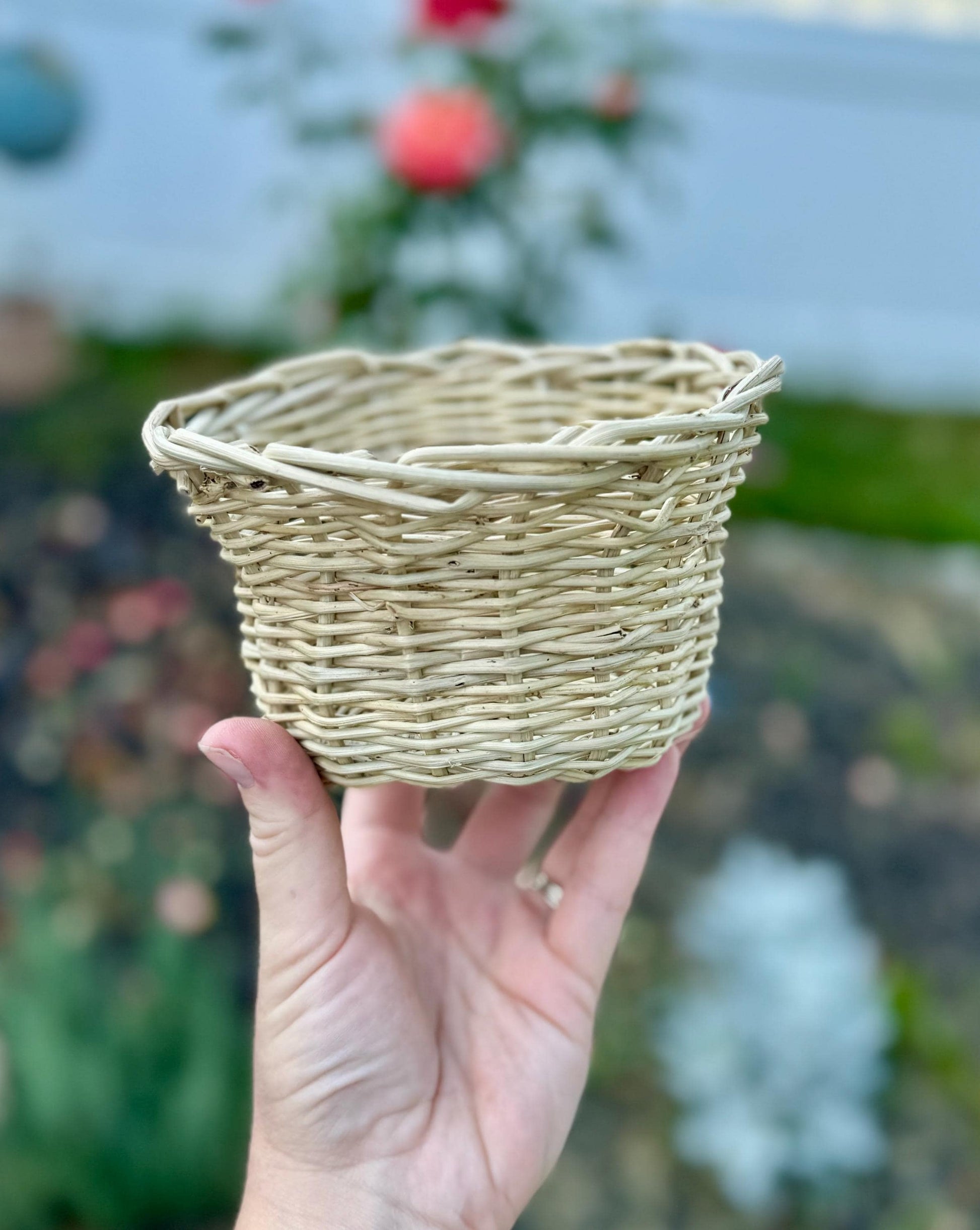 Grapevine Basket | Natural Chew Toys, Foraging Toy, bunny enrichment, rabbit, hamster, guinea pig and small animal chews & boredom busters