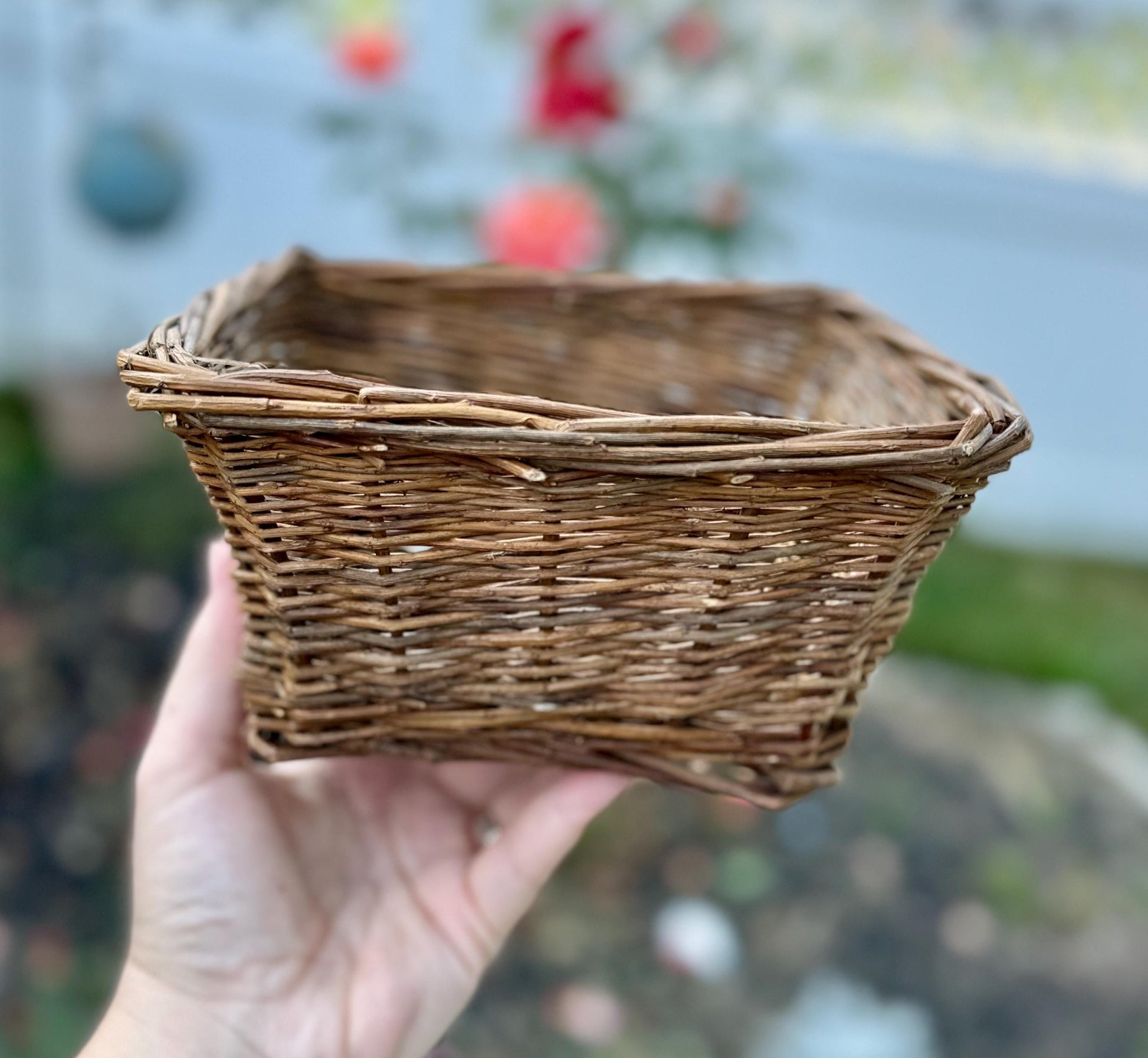 Willow Basket | Natural Chew Toys, Foraging Toy, bunny enrichment, rabbit, hamster, guinea pig and small animal chews & boredom busters