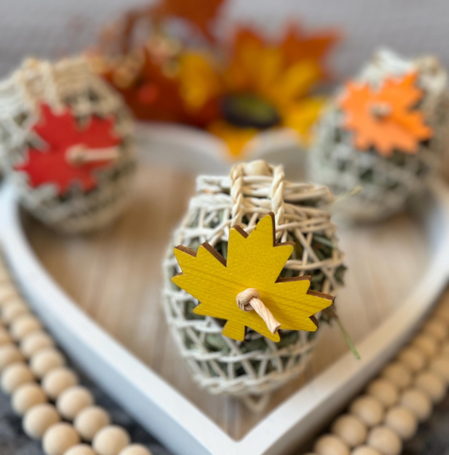 Autumn Acorn Forager | Fall Inspired Toss Toy | Enrichment & Foraging Toy