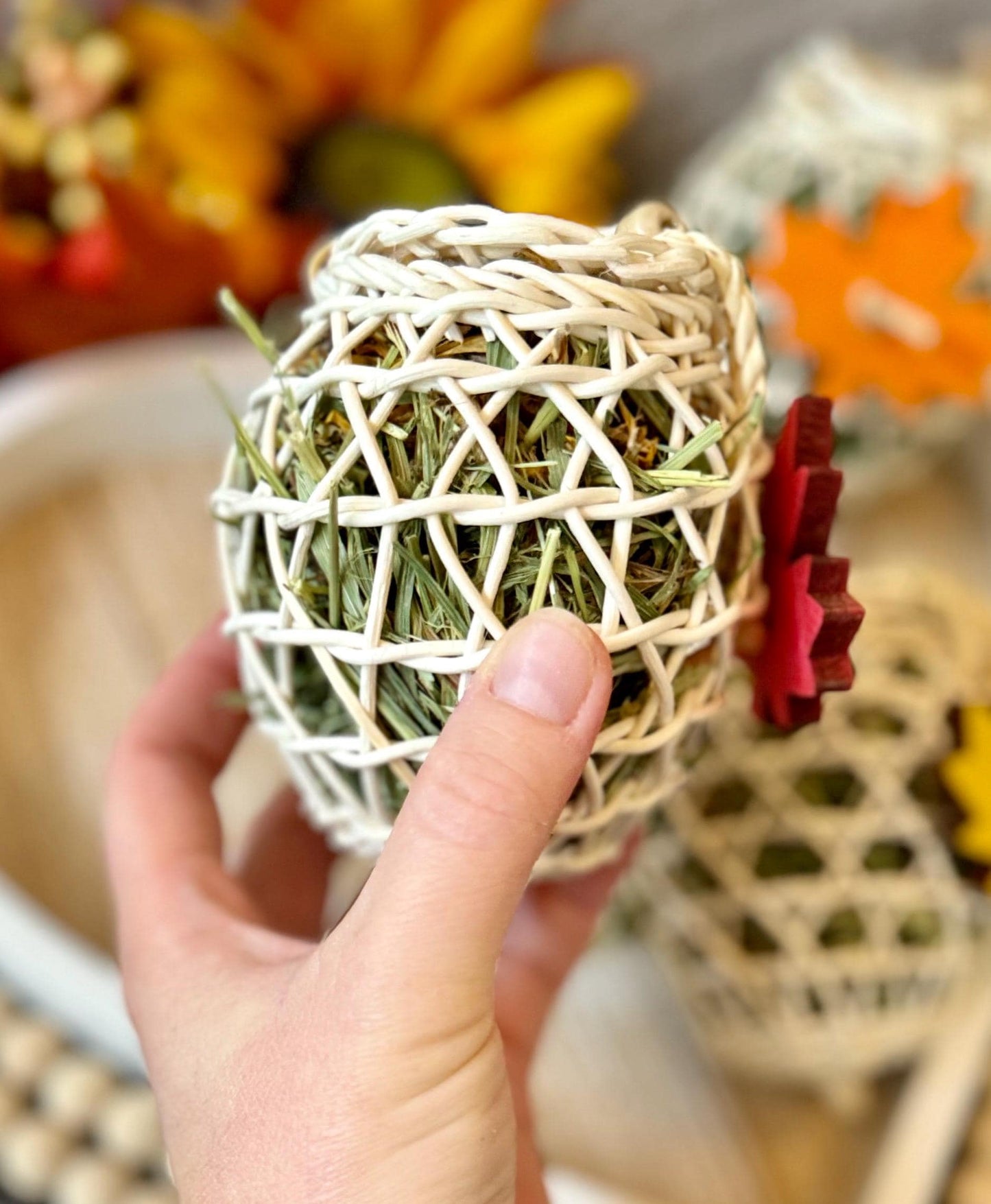 Autumn Acorn Forager | Fall Inspired Toss Toy | Enrichment & Foraging Toy