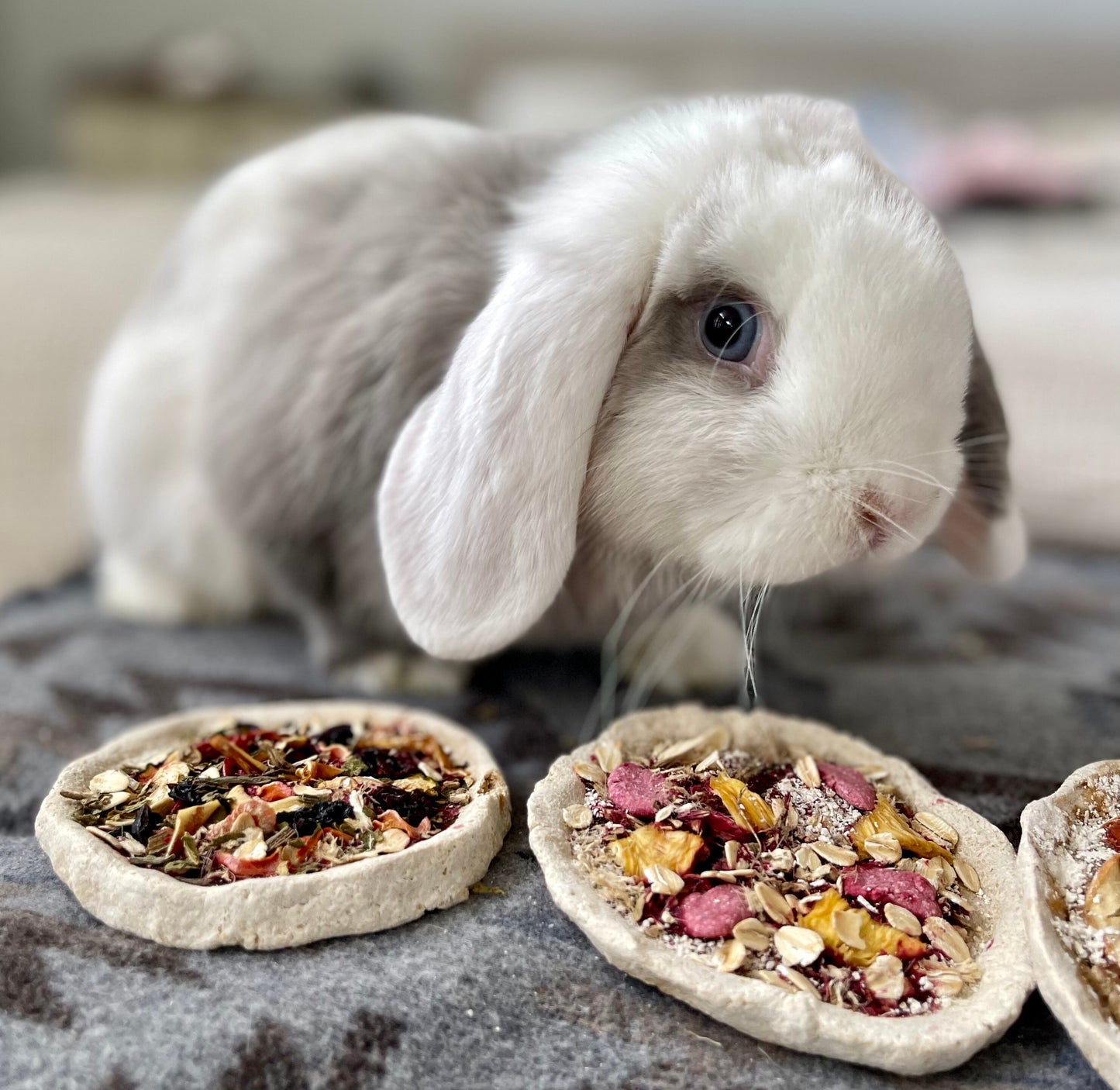 Little Hopper’s Pizza~ cute bunny treats~ small animal treats~ chinchilla, guinea pig, hamster treats, organic, healthy, natural~enrichment