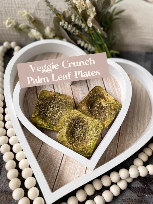 Veggie Crunch Plates ~ Herb Dipped Treat & Chew~