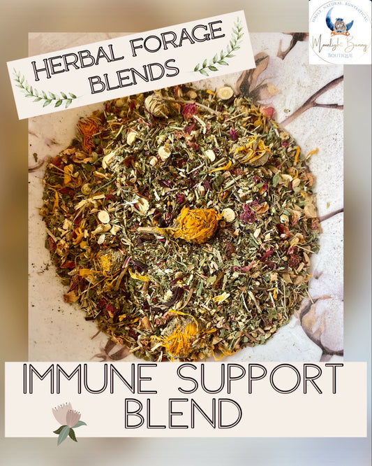 Immune Support ~ Herbal Forage