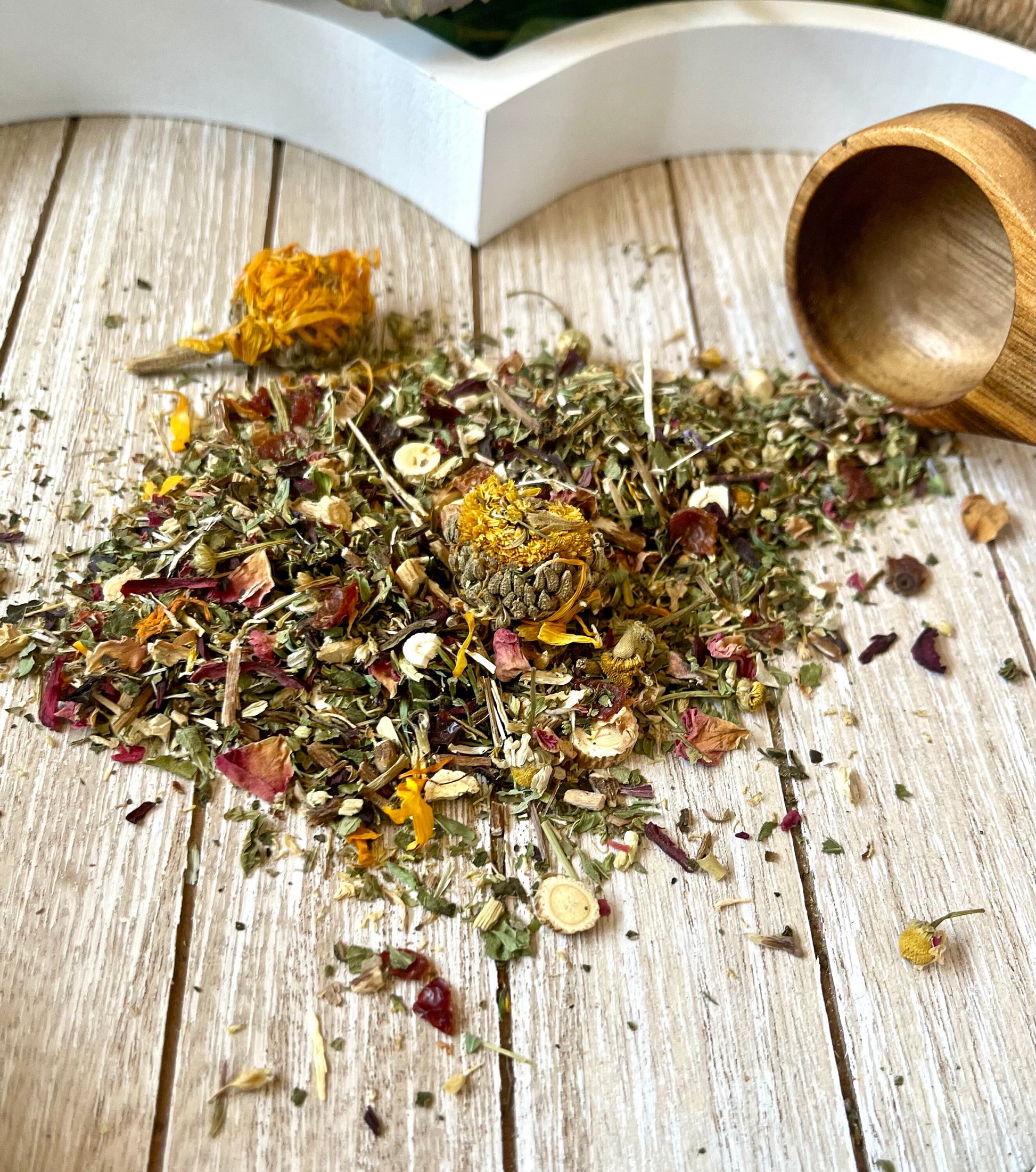 Immune Support ~ Herbal Forage