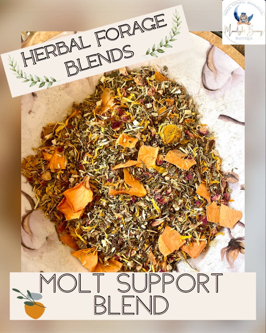 Molt Support ~ Herbal Forage