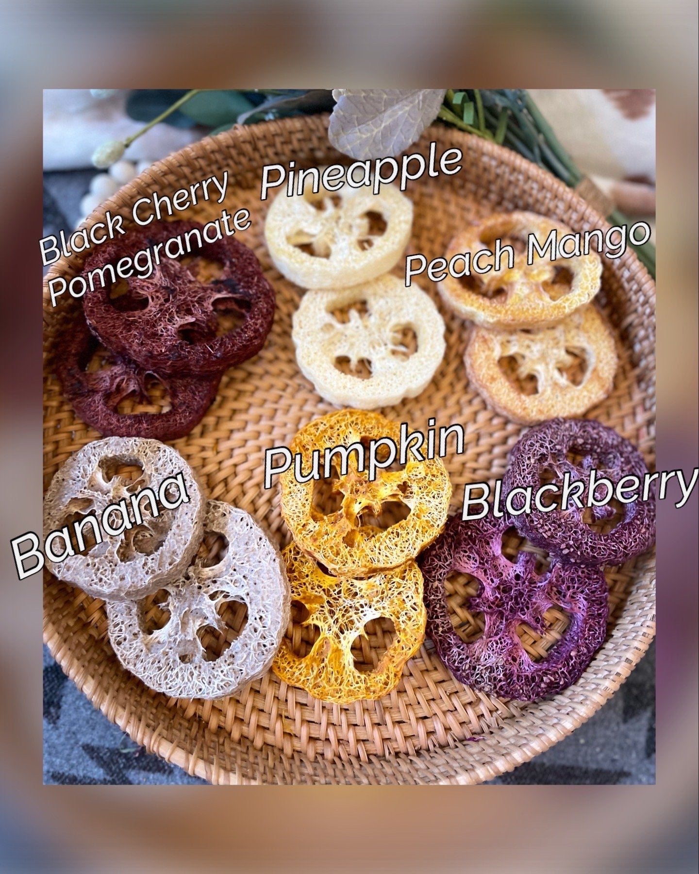 Loofah Cakes ~ 11 Flavors! ~ Fruit Infused Bunny Treats, Small Pet Chews and Tasty Enrichment, Rabbit, Chinchilla, Hamster & Guinea Pig Toys