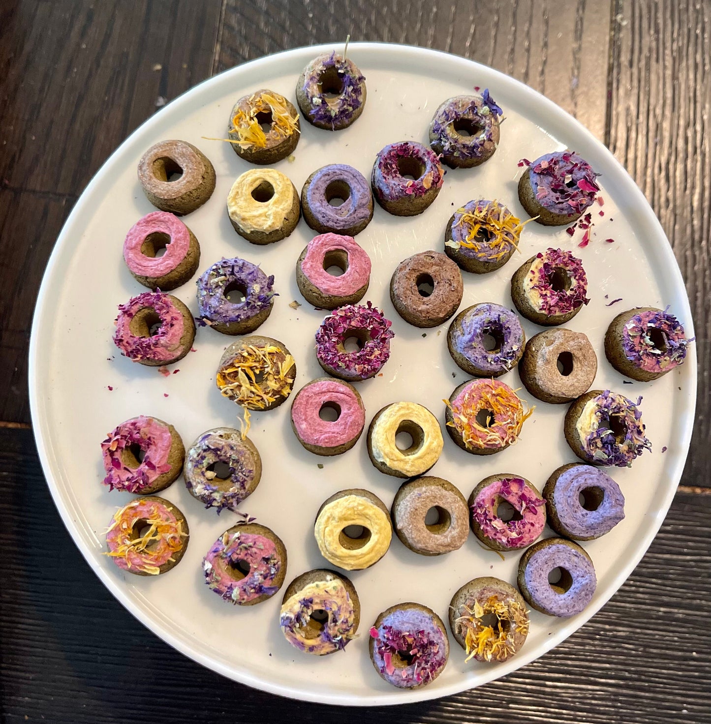 Mini Donuts~ OAT FREE base~ 5 Flavors! Bite sized healthy all natural treats for rabbits, hamsters, guinea pigs, mice, & other small animals