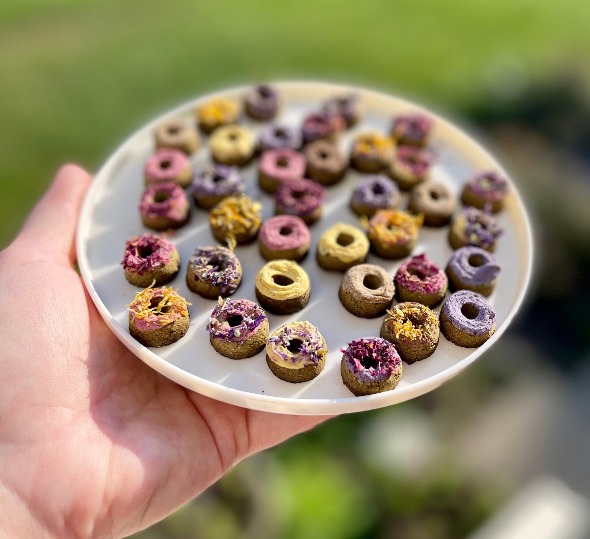 Mini Donuts~ OAT FREE base~ 5 Flavors! Bite sized healthy all natural treats for rabbits, hamsters, guinea pigs, mice, & other small animals