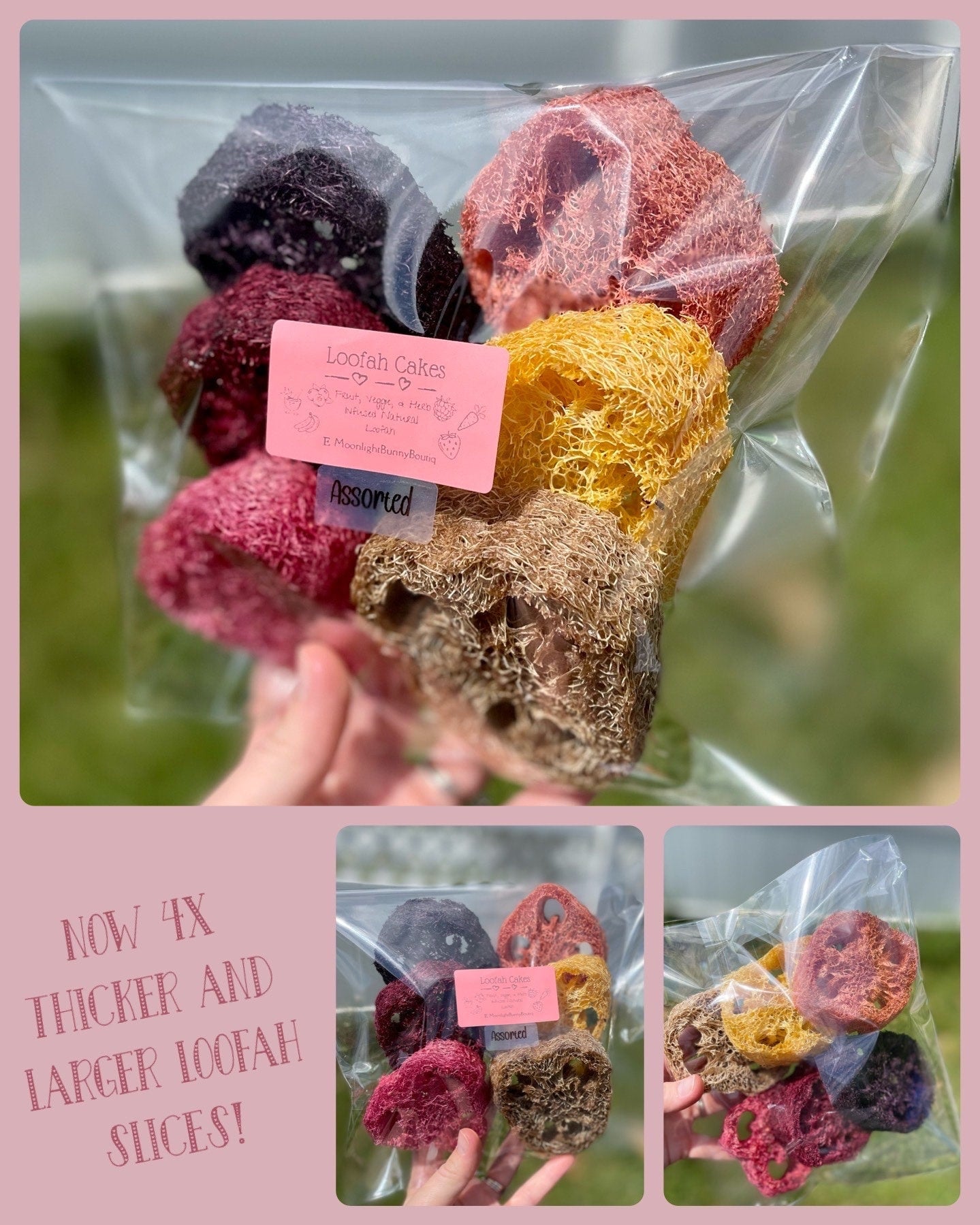 Loofah Cakes ~ 11 Flavors! ~ Fruit Infused Bunny Treats, Small Pet Chews and Tasty Enrichment, Rabbit, Chinchilla, Hamster & Guinea Pig Toys